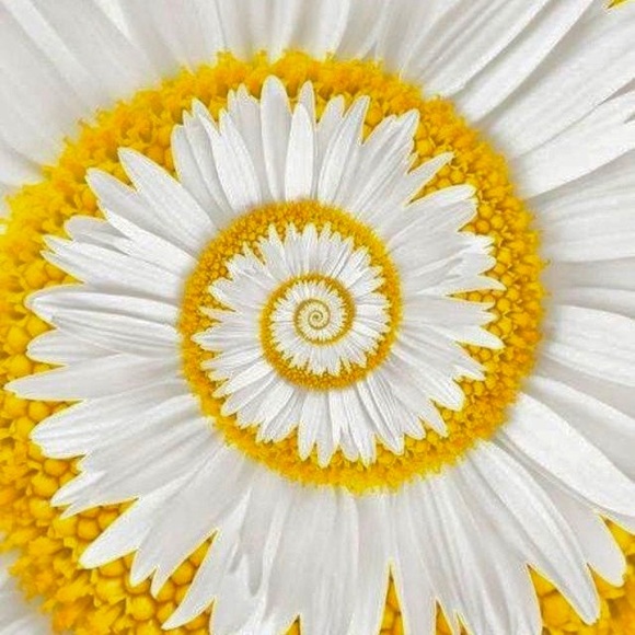 💚💙❤️💛🧡💚💙❤️💛🧡💚💙❤️💛🧡 - Picture 14 of 14